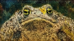 AWARD OF EXCELLENCE, Cathie P Scott Award for Detail: Kerry Renshaw