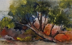 AWARD OF EXCELLENCE from Q REALTY: Patricia Baca