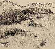 2ND PLACE INKS/ PRINTS/ DRAWING: Ray Ortiz