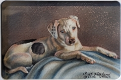 AWARD OF EXCELLENCE, Gallery ABQ Salon Show Award: Ruth Vreeland