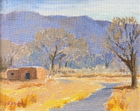 HONORABLE MENTION: Sondra Schlotterback