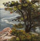 AWARD OF EXCELLENCE, Jan Keefer award: Vickie Pleau