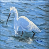 1ST PLACE ACRYLIC:  Victoria Mauldin