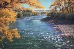 Chris Cook