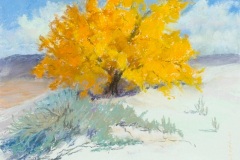 HONORABLE MENTION PASTEL: Janet Shaw Amtmann