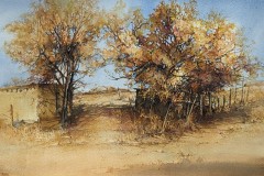  Carol Carpenter