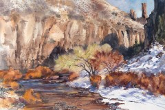 Gayle Weisfield